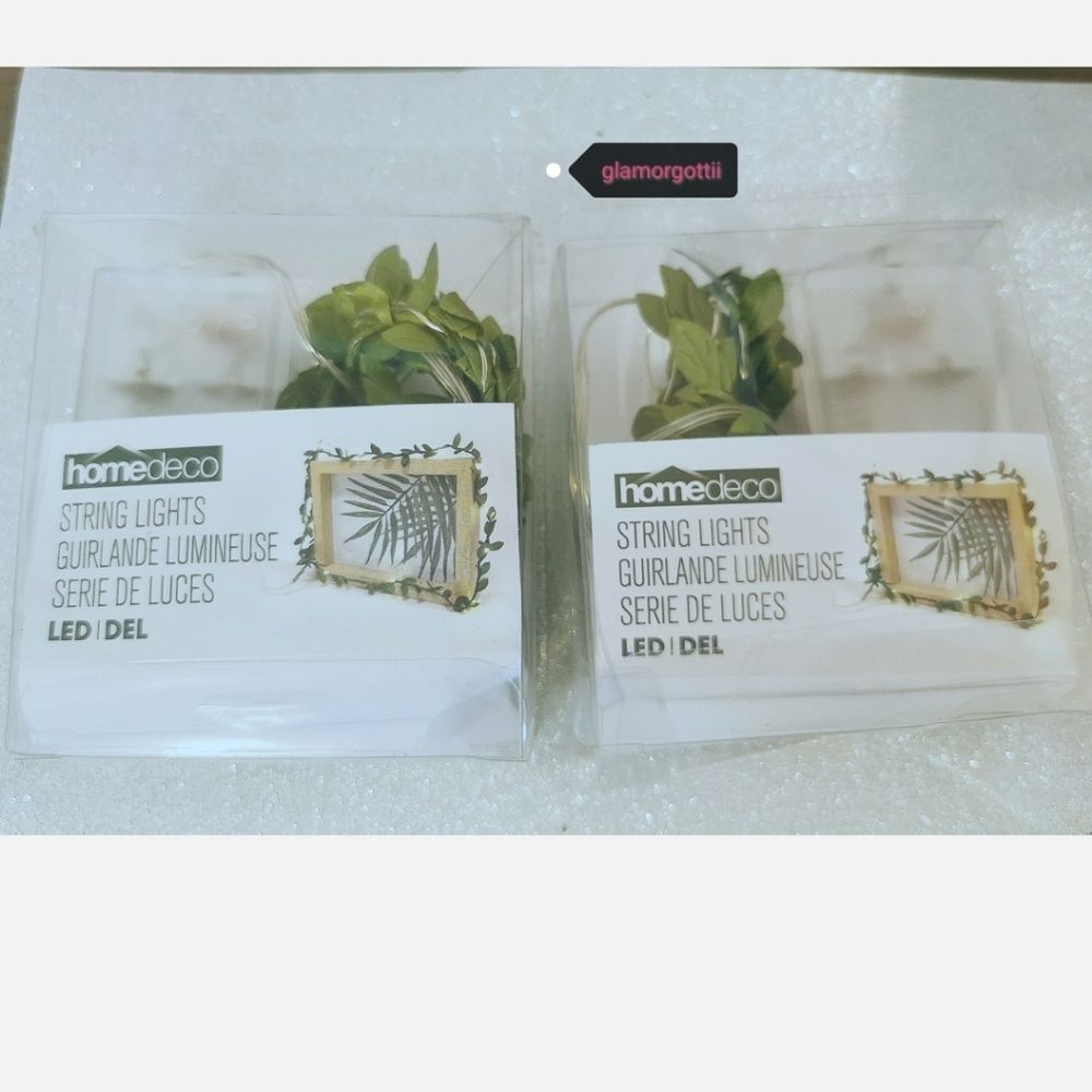 🐍Leaf String lights